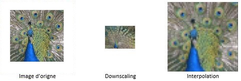 Interpollation et downscaling